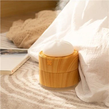 USB Mini Steamer Steamed Bun Humidifier